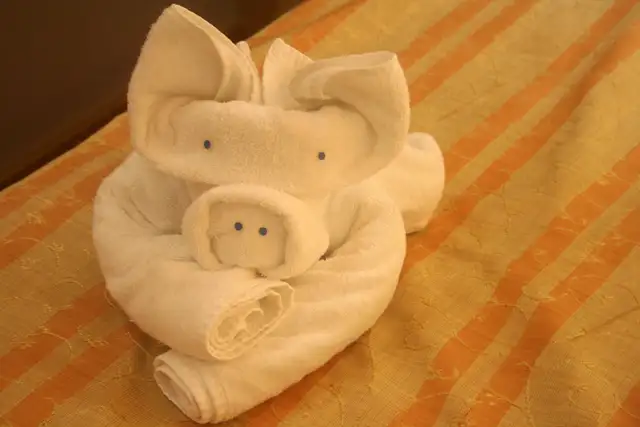 towel animal animals pig 1.webp
