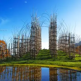 tree-cathedral-cattedrale-vegetale-giuliano-mauri-13.webp