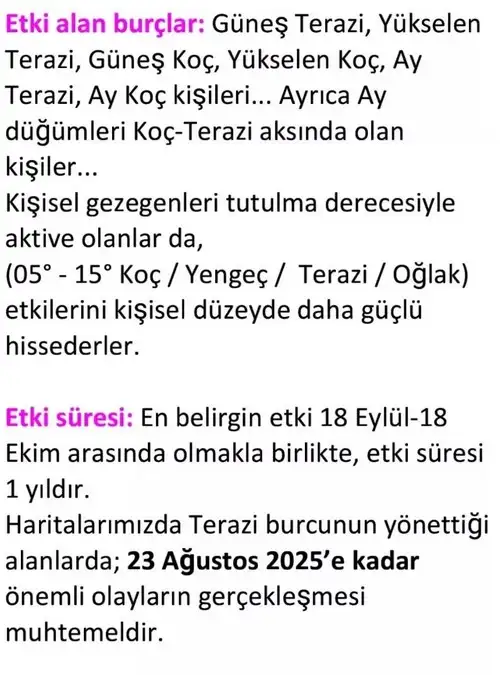 tt (2).webp