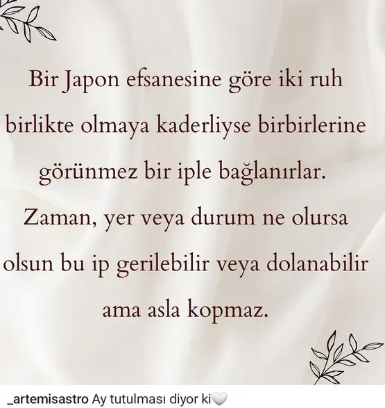 tt.webp