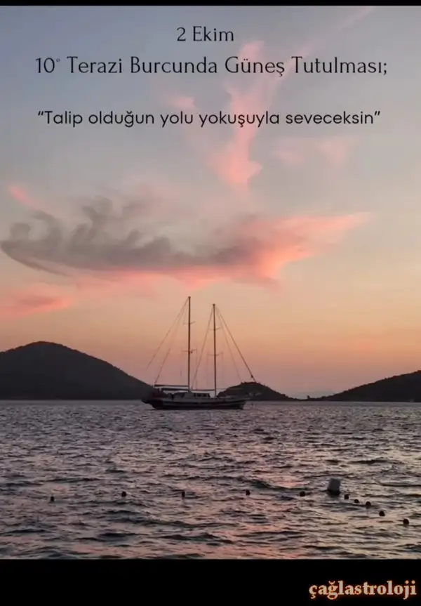 tt.webp