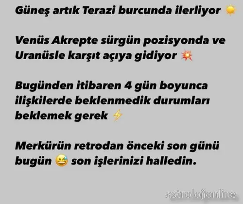 ttt.webp