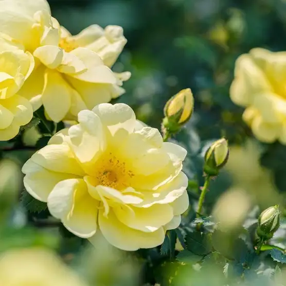 tumblr_022eed63154215ac19e0d0d4de7fc6d9_f3b94f03_1280.webp