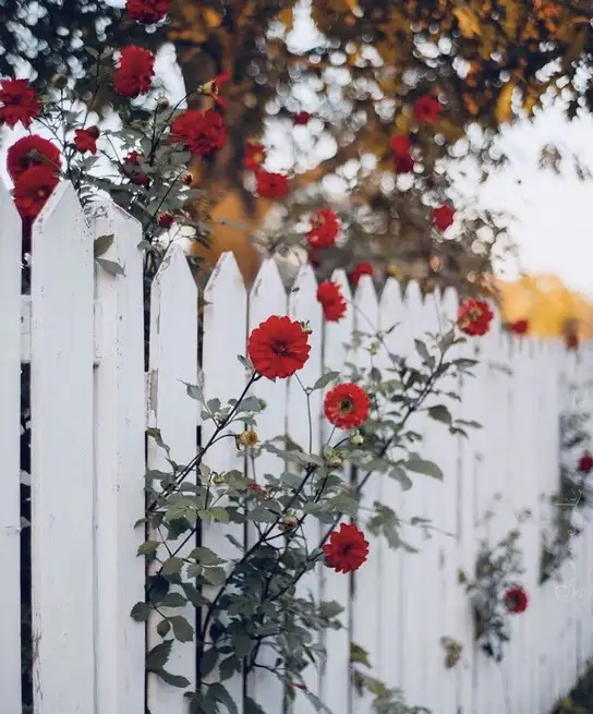 tumblr_053f4791a001db7227836236ffb85c9c_fbdf8f7f_1280.webp