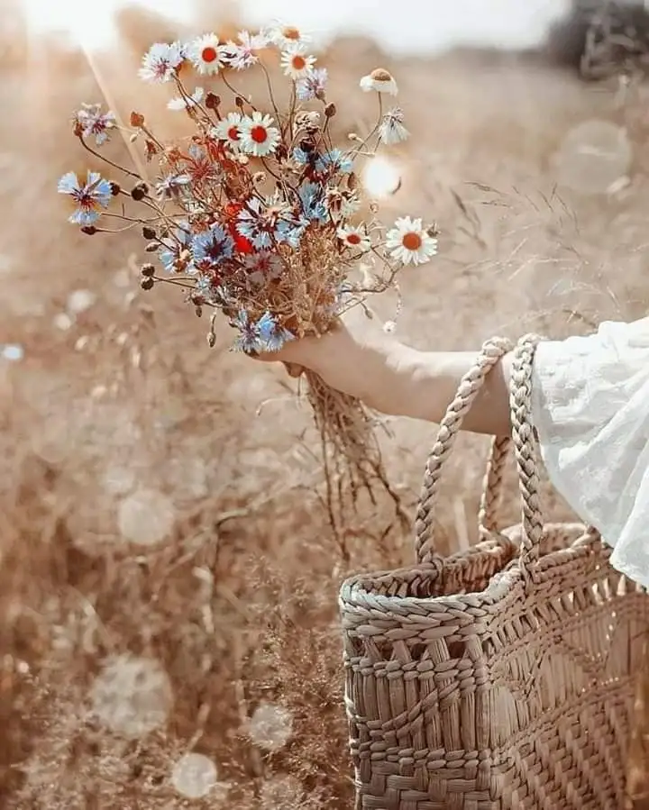 tumblr_2afa10b7d45d33b3c7ea3766da4d8969_d4ec17c8_1280.webp
