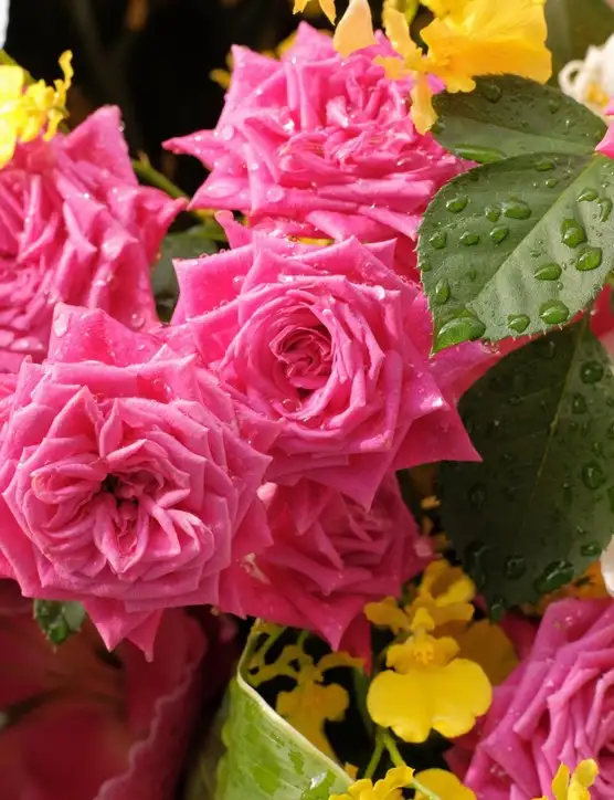 tumblr_2c051d5393b7cbb903857cee2fc92b95_eebbbd7b_1280.webp