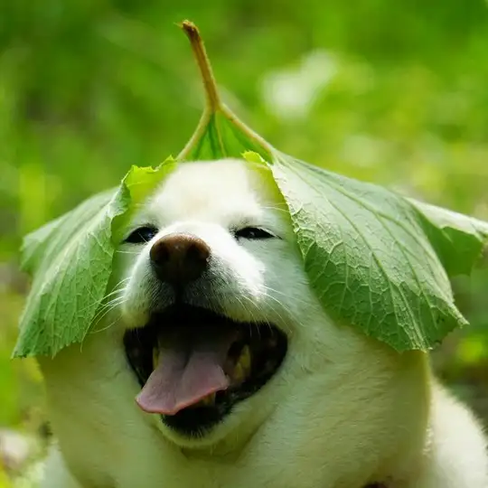tumblr_2c13ed6793ddcf99943f663f5afb25a6_3ea8429b_1280.jpg