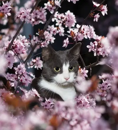 tumblr_2d5c22108a0e1c9ae4f84be8e2afc8d7_bdded2c9_400.webp