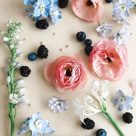 tumblr_3ab5b971c410ee398189ef3c941d5cbe_0076e5fe_1280.webp