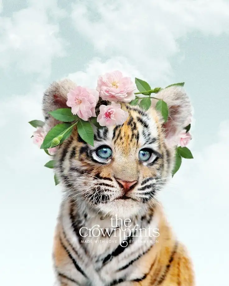 tumblr_3f2b80684363411ea6c7e5f12cc97f55_bdb2bc86_1280.webp