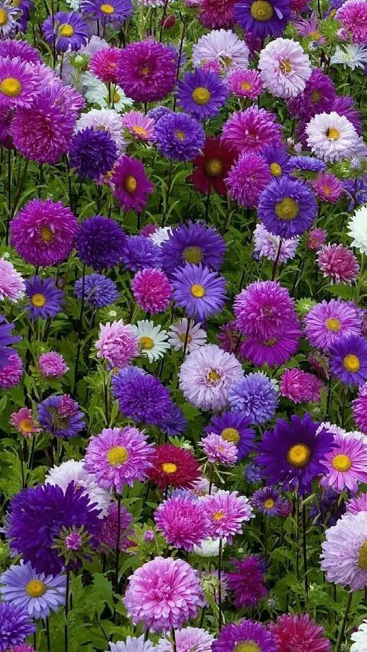 tumblr_3f6d8631df67318d872015ab3185ce25_04bcf318_640.webp