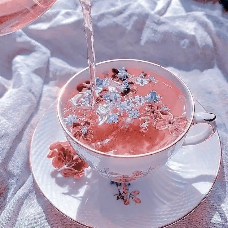 tumblr_45ed2c205f0489797faa7ff0d26edfd0_e60a97b2_1280.webp