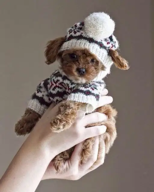 tumblr_4ecaecfa7fd4a7a2e6f6ea8fa58ebef8_f579f060_1280.webp