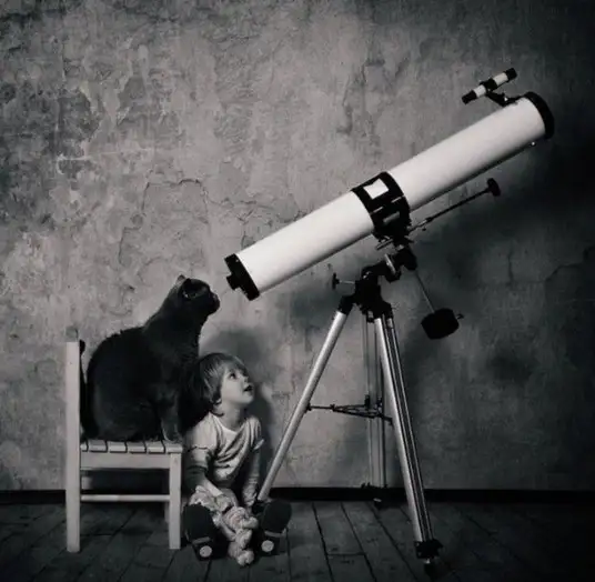 tumblr_50453f8e12888fe26161a7f933f04f99_3c4a6e67_640.webp