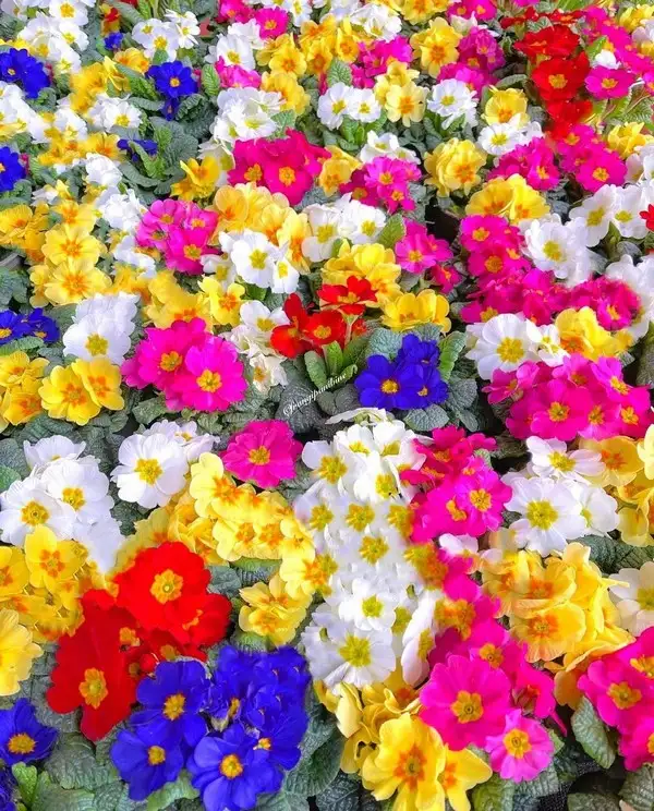 tumblr_564f990f6b1ece318f99dc479e4a43e6_d0685575_1280.webp