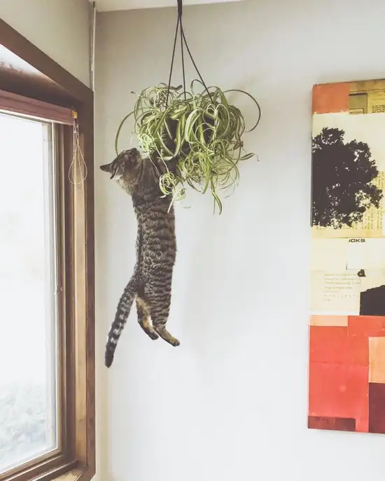 tumblr_5827d8b60ecaf79a554986567f37cc3b_e624a87c_1280.webp