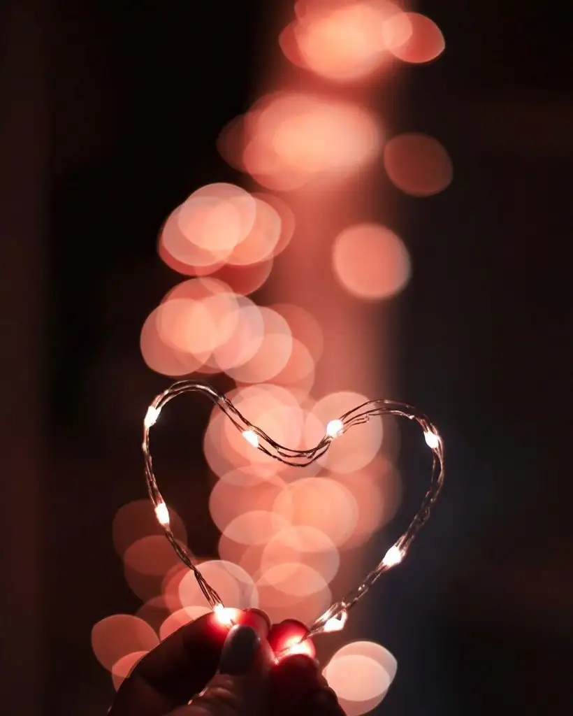 tumblr_612b4b10bee022fcaf054358453f2211_43446e97_1280.webp