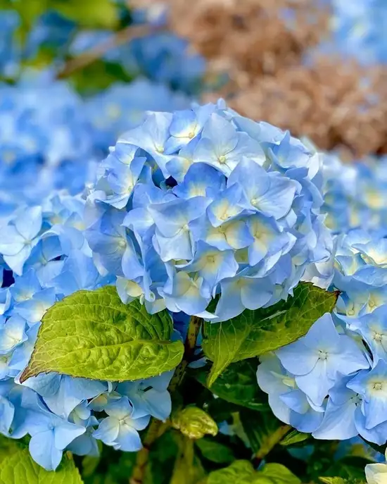 tumblr_64f4ec57be36ee2ec28bba9c59dfa34e_6111ad04_1280.webp