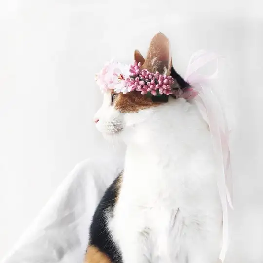 tumblr_6554b9909dfcc4831078a31afe7e289a_6aae3657_1280.webp