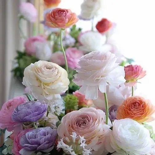 tumblr_6f0d4d2df9c604682264d668a11e68ff_fc7b2f9d_640.webp