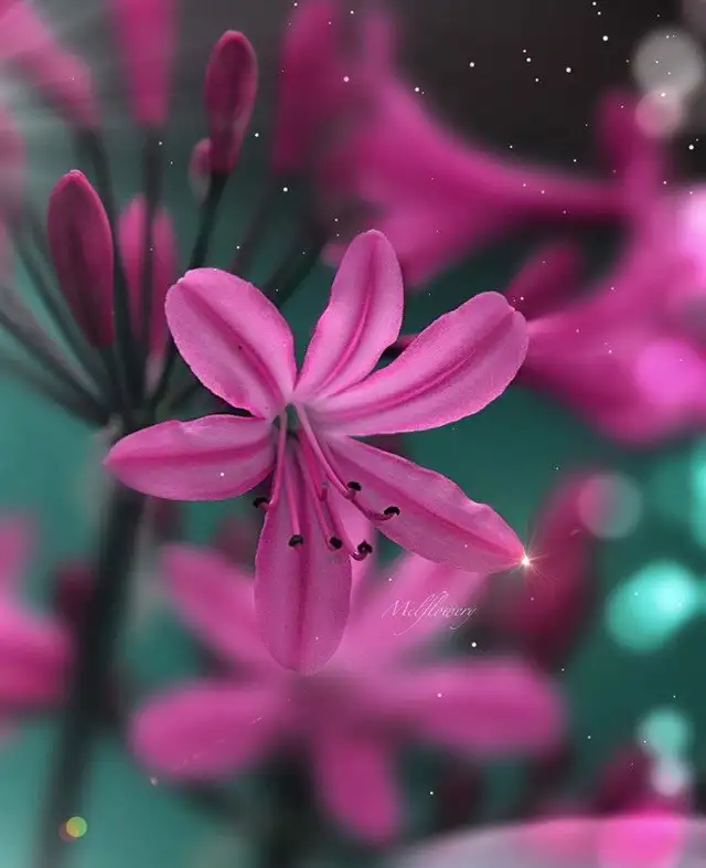 tumblr_73f030470aae54f38eb20e5de9a21c05_fb5fad02_640.webp