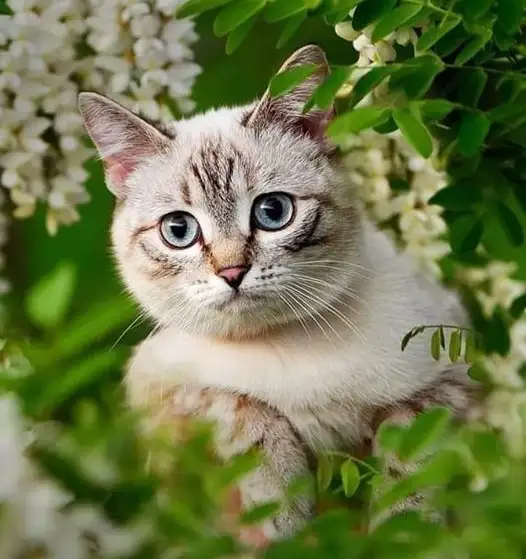 tumblr_7a1da49268f3bfdb80f646c782824089_6a2d1d79_640.webp