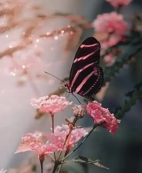 tumblr_8d74ce83b2db0f2aaefe08716d4931b6_c8232569_500.webp
