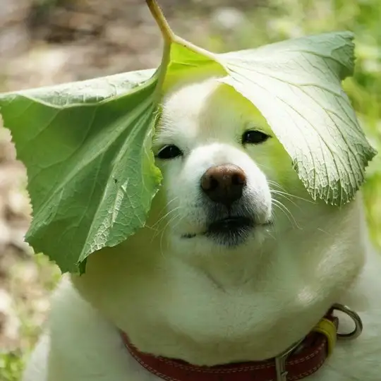 tumblr_8fb2ca0814be3cea36e6182b78dc3f64_38fc8c7d_1280.jpg