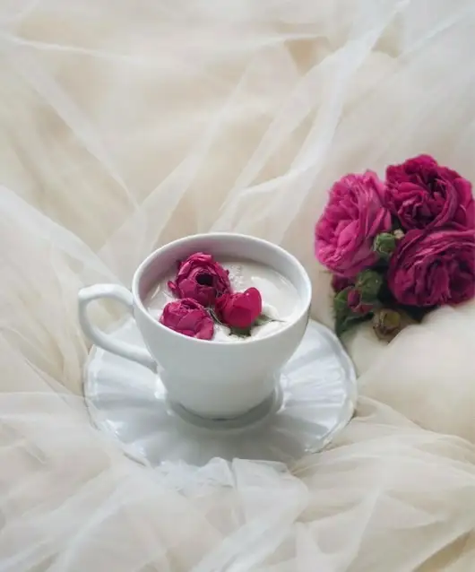 tumblr_a4ff6bc82cef6283cb5dd788b4dee07d_524197bc_1280.webp