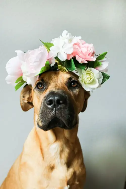 tumblr_b4523911def843397ae7dd7b7664b94d_a3853006_500.webp