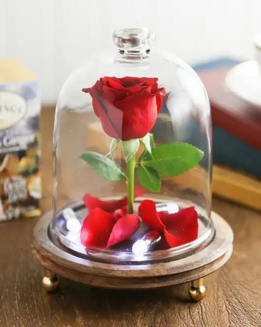 tumblr_b5bc67631b46445e67c68c7a1944ead9_b2f15c7f_1280.webp