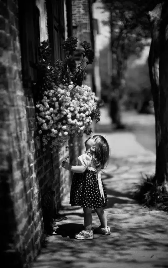 tumblr_cdaad7e4c472e58b2e1dea5915862416_45059bc1_1280.webp