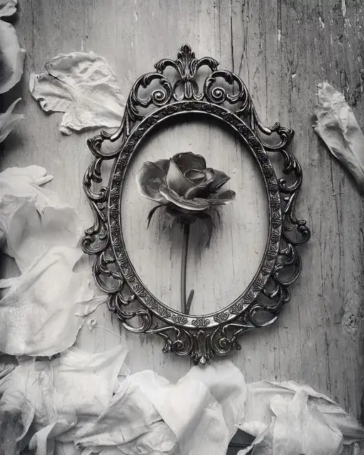 tumblr_ce3734583f15b195b5af0e23f797cbfd_cd59936f_540.webp