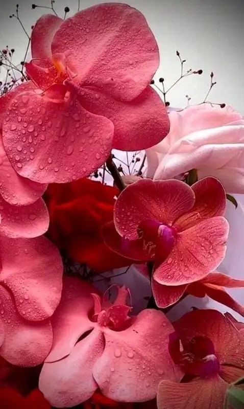 tumblr_cf9edefa792750c4bdb061f8060635f5_d4ce09f4_540.jpg