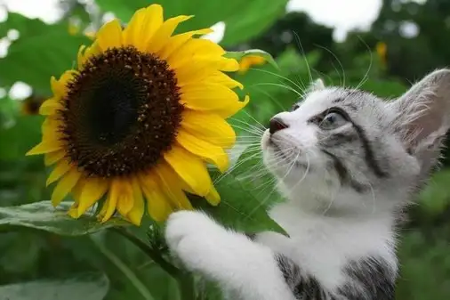 tumblr_d82f83543bd2ddb9f321c0da3def18cb_f0fc6bec_1280.webp