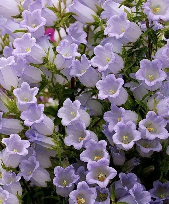 tumblr_da7ed9e2a9a09363e7f1bb43178f3809_0bffcf9d_1280.webp