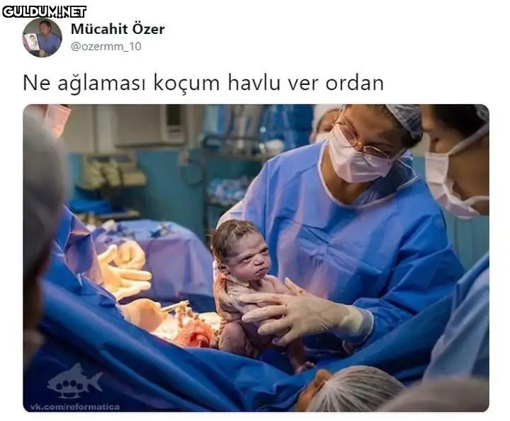 tumblr_dd2d5748f94db872ec6825f118fc13d6_8df460b0_1280 (1).jpg