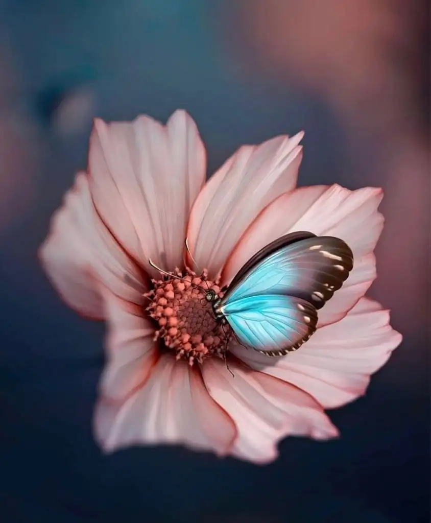 tumblr_efd1c8ad223dd1b04e13dd8f76c1f66f_a295c967_1280.webp
