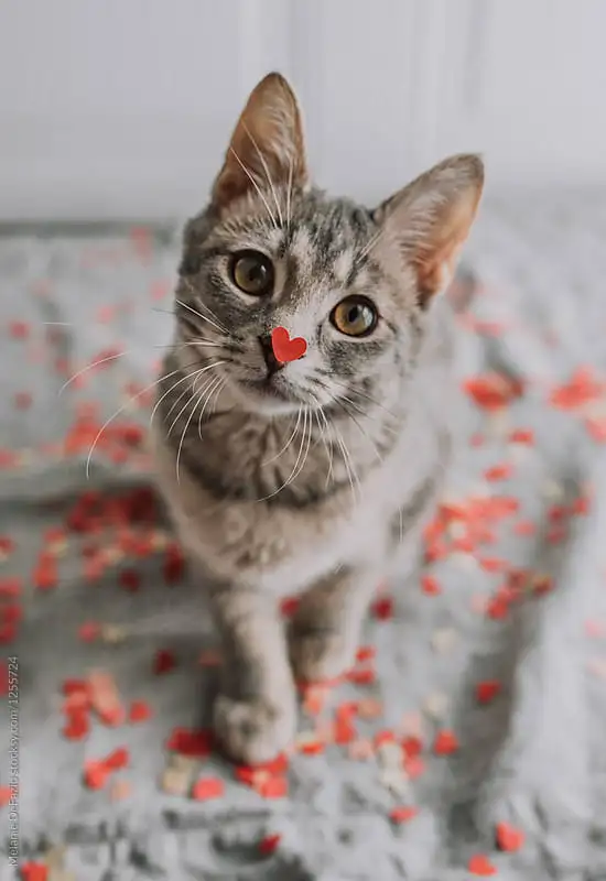 tumblr_fbfa1a3e261e2f5330d31a1d55582617_4eb20a25_640.webp