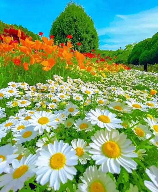 tumblr_fef8204e7088f0290c06f8a811141529_b320bd57_1280.webp