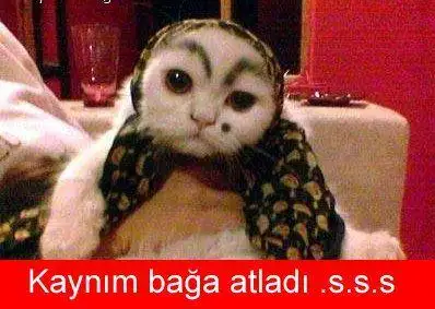 tumblr_mh1i4hqLCI1s1z9qmo1_400.webp