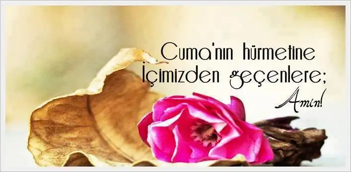 tumblr_mtea680i7t1s2fha0o1_r1_1280.webp