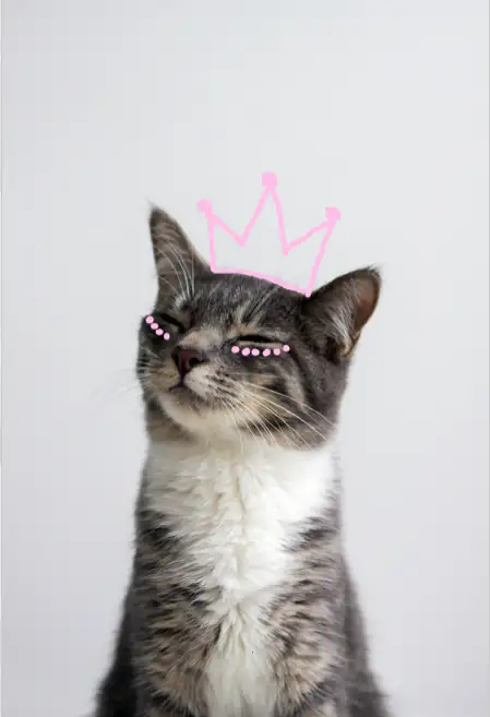 tumblr_mulwjjS3ZR1sqjxt4o1_500.webp