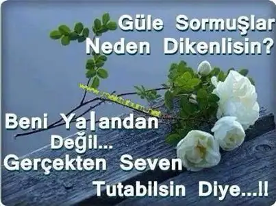 tumblr_mykv5qmChT1rkgx1do1_500.webp