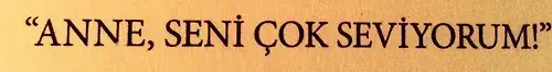 tumblr_n5f2xmWOfi1t875klo1_500.webp