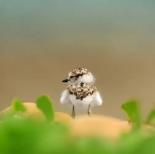 tumblr_n6nzzphsDy1slpxjko1_640.webp