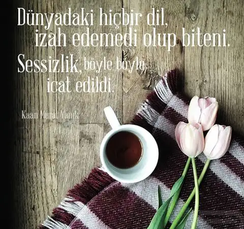tumblr_nloci7SSQz1tyc81qo1_500.webp