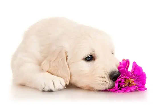 tumblr_ntafn4uEG11u5o49oo1_1280.webp