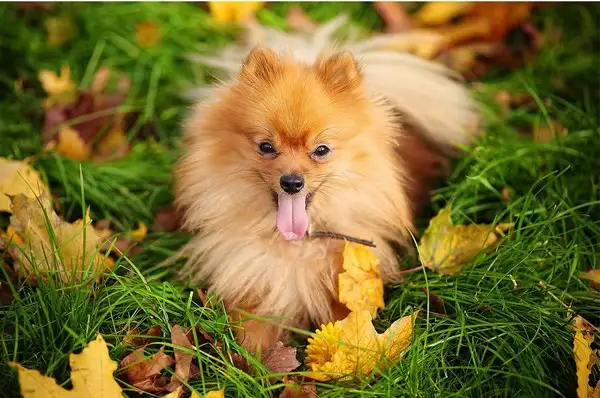 tumblr_nvbzihAG8m1u5o49oo1_1280.webp