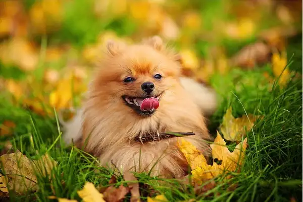 tumblr_nvqnxe74OD1u5o49oo1_1280.webp